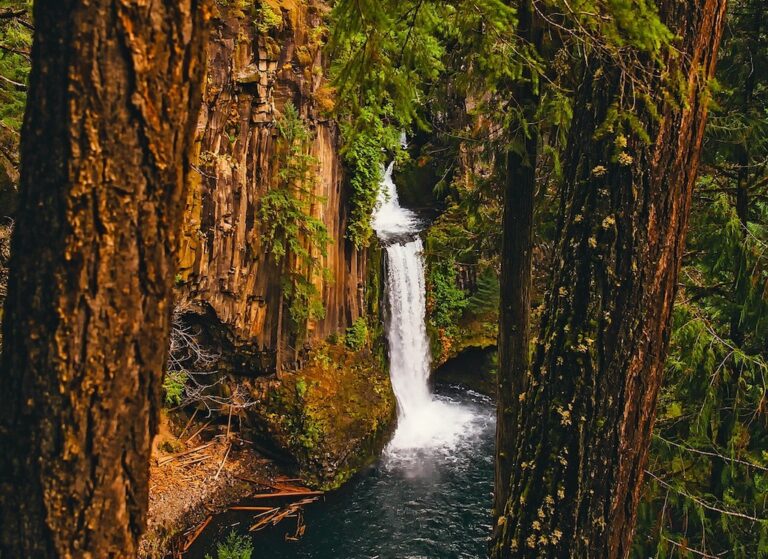 Waterfall in an Oregon forest